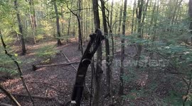 Man Falls 16ft Out of Tree Stand