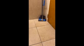 You Ain’t Ever Been Trapped With a Blue Crab