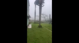 Hurricane Melissa’s Fierce Winds Batter Hanover as Record-Breaking Storm Hits Jamaica