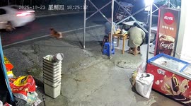 Hero Dog Saves Family from Out-of-Control Car in Zhejiang, China