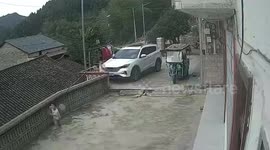 Father shoos away pig chasing his son in their yard