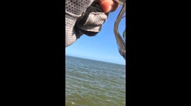 Angler battles fish in tense struggle before it breaks free