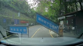 A Terrifying Reverse Accident