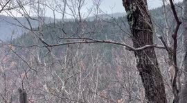 US: First flakes of the season in North Elba, NY