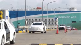 China: Shanghai auto terminal sees over 1 million cars exported in first 3 quarters