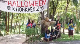 Thai zoo serves skull-shaped pumpkins stuffed with mealworms to animals to celebrate Halloween