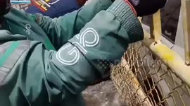 Pensioner, 64, crashes into market 'when car accelerator malfunctions'