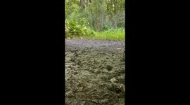 Bridge inspector sinks paddle into SC Quicksand—TikTok video hits 1M views