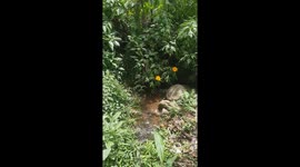 Land Optimization Activities for Irrigating Farmers' Rice Fields