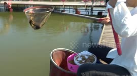 China: Younger angling community boosts new consumption trends in China