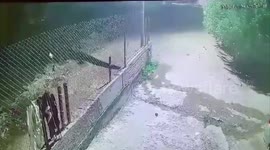 Illegal Israeli settlers torch Palestinian vehicles in occupied West Bank