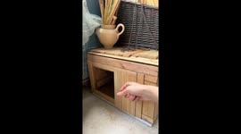 Knock Knock Angry Cat