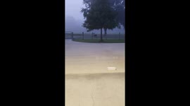 Chase About to Loose His Velvet