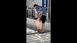 Giant Pelican Named Petros in Mykonos