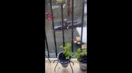 Spain: Heavy Rains and Strong Winds Hit Parts of Andalusia 3