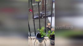 Young Man Rescues Elderly Neighbor Through Flooded Streets As Sevilla Struggles With Record Storm