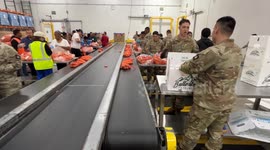 US: California National Guard deployed to Los Angeles food bank amid SNAP crisis
