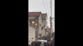 This Dog Is a Beat Master!