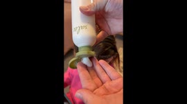 Mom’s adorable “spider bun” hairstyle for Halloween creeps past 1 million views on TikTok