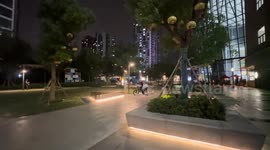 A Funny Collection of Bicycles among Friends