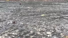 Hurricane Melissa claims at least 30 lives in Caribbean