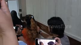 Femme fatal seduces cheating married lover and 'cuts off his penis during sex'