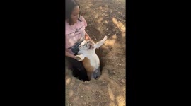 Sherman Doesn't Want to Be Saved