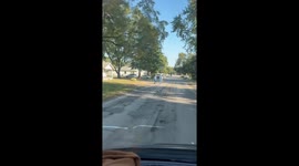 Workers Escort Alleged Thief Returning Work Equipment