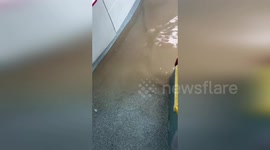 Spain: Floodwater Rushes Into Public Bus In Seville