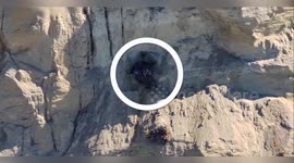 US: Dog Rescued After Tumbling 40 Feet Off San Francisco Cliff