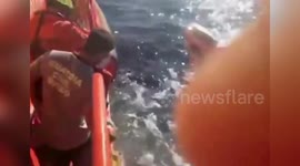 Spain: Turtle Named Mimosa Rescued From Plastic Threat In Cala Ratjada