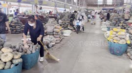 Halloween Harvest: Hundreds of Pumpkins at Pathumthani Market