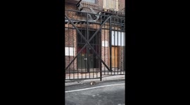 Rat carrying bread in Baltimore, Maryland, USA