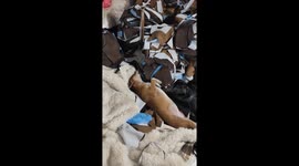 Dog’s deep sleep gives owner a scare in Zhejiang, China