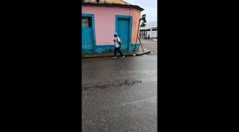 Man walks pet pig on a leash in Caicara de Maturín, Venezuela