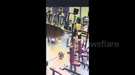 健身房SSB杆杠铃片脱落 两次砸中休息男子