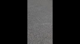 This video examines the unhygienic practices of Amazon delivery drivers in Belvedere.