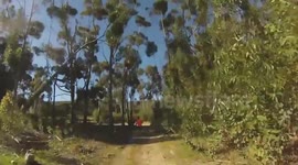 Runner almost flattened by charging wildebeest