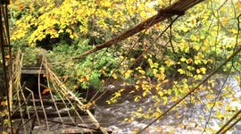 Autumn Flood