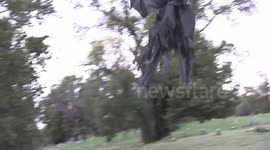 Epic Halloween Prank by Tom Mabe