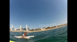 Dialy jumping the sharks