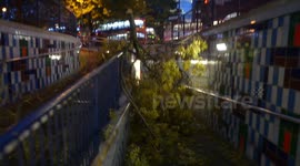 Branches block footpath in Elephant&Castle following St Jude's storm
