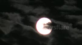 Werewolf Head-Shaped Cloud Passing in fromt of Moon Timelapse