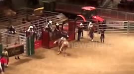 Rodeo bull riding and photographer wrong place and time  Slo-Mo iphone 5s