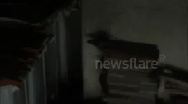 Rats run around Bins In London