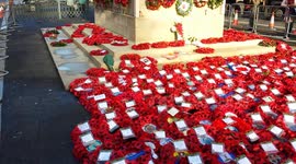 Cenotaph: Day after Remembrance Day