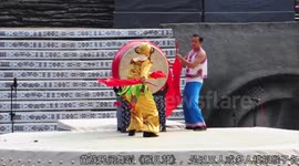 Chinese characteristics dance:Monkey drum