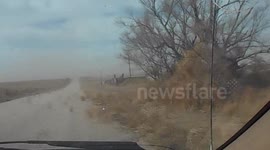 Tumbleweed Storm in Rush Colorado