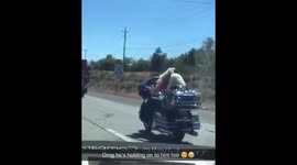 Dog riding on motorcycle