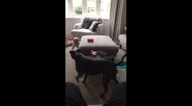 Baby Grace plays chase with Staff